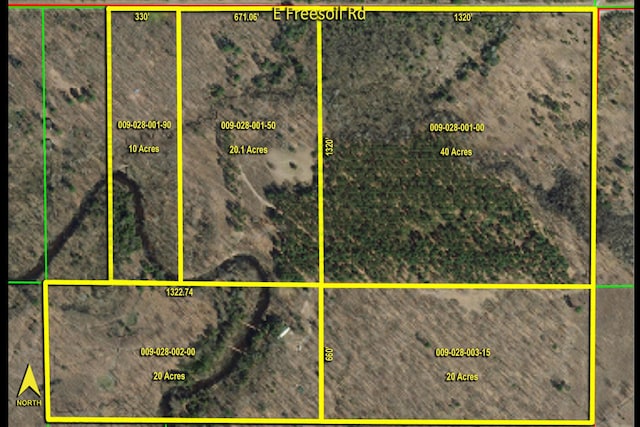6919 E Free Soil Rd, Free Soil, MI 49411 - map location