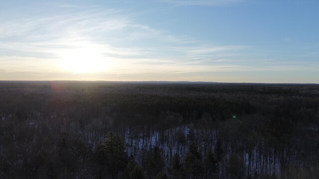 6919 E Free Soil Rd, Free Soil, MI 49411 - view of landscape