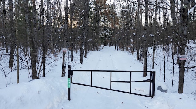 6919 E Free Soil Rd, Free Soil, MI 49411 - view of yard layered in snow