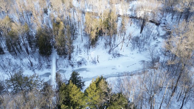 6919 E Free Soil Rd, Free Soil, MI 49411 - birds eye view of property featuring a forest view