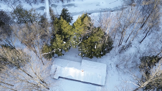 6919 E Free Soil Rd, Free Soil, MI 49411 - bird's eye view