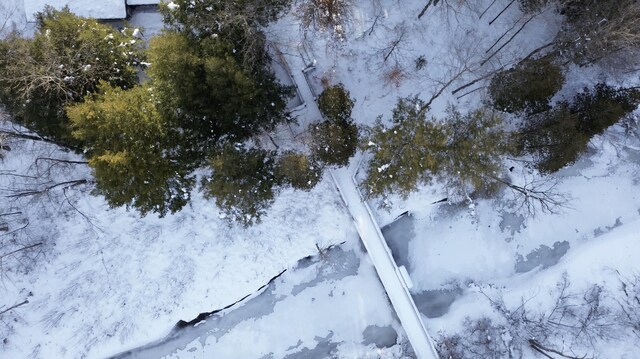 6919 E Free Soil Rd, Free Soil, MI 49411 - view of snowy aerial view