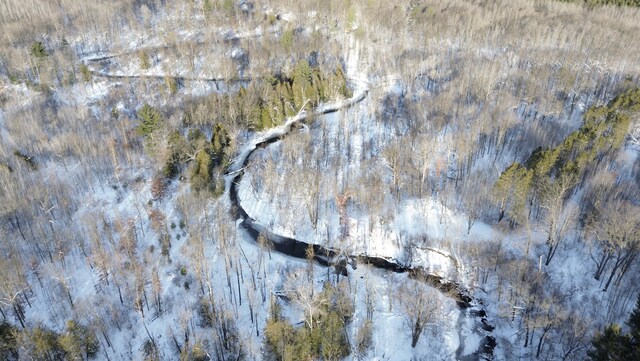 6919 E Free Soil Rd, Free Soil, MI 49411 - birds eye view of property