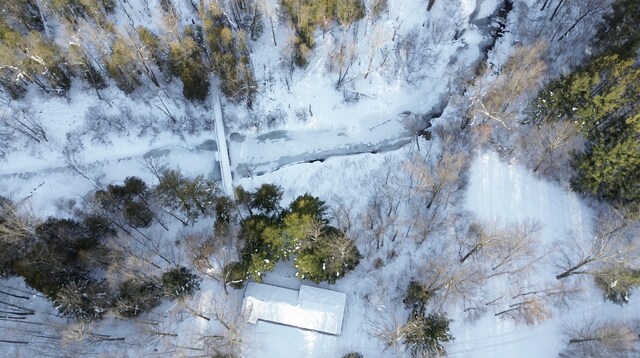 6919 E Free Soil Rd, Free Soil, MI 49411 - aerial view