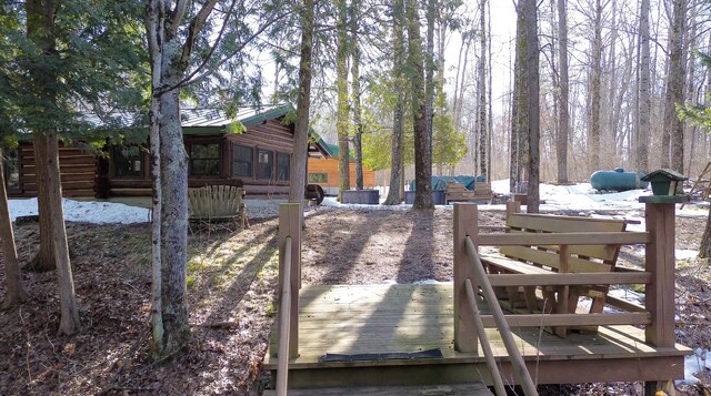 6919 E Free Soil Rd, Free Soil, MI 49411 - view of yard