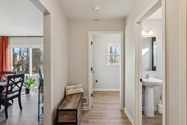 hall featuring sink, a healthy amount of sunlight, and light wood-type flooring