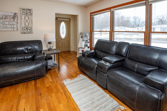 living room featuring hardwood / wood-style floors