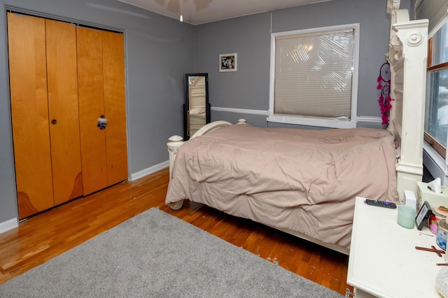 bedroom featuring dark hardwood / wood-style floors and a closet