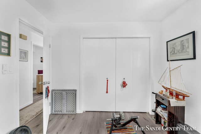 interior space with a closet and light hardwood / wood-style flooring