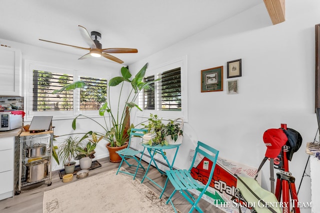 interior space featuring ceiling fan and light wood-type flooring