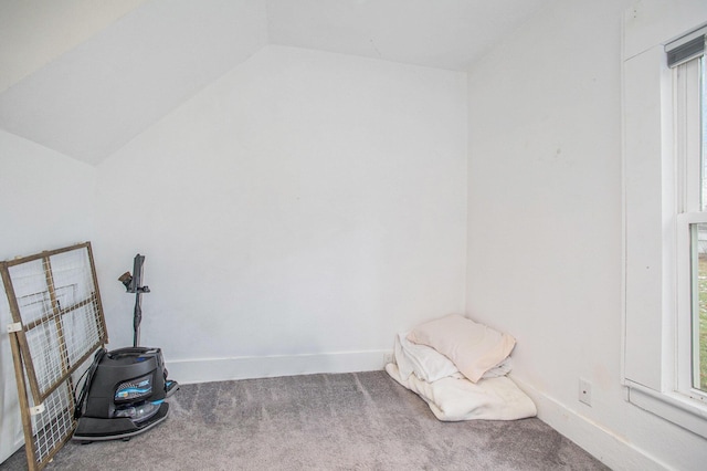 interior space featuring vaulted ceiling and carpet