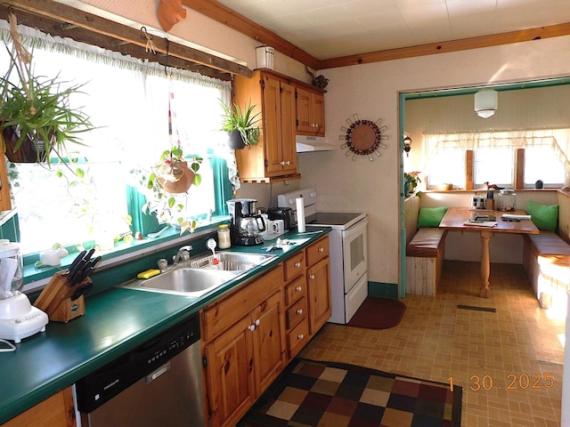 kitchen featuring sink, stainless steel dishwasher, and white range with electric cooktop