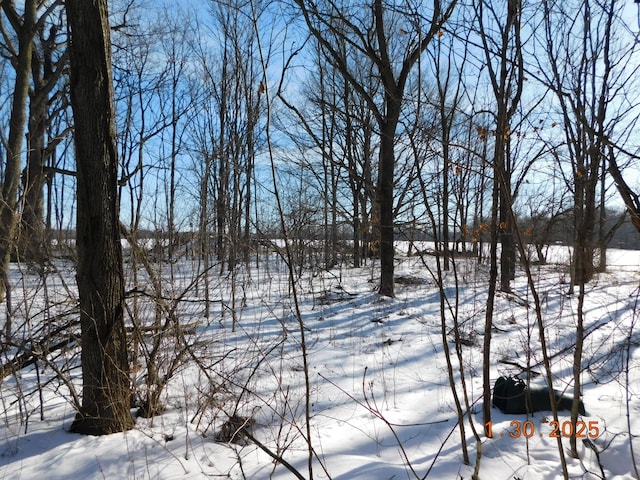 view of yard covered in snow