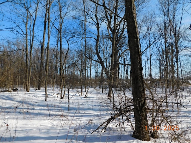 view of yard covered in snow