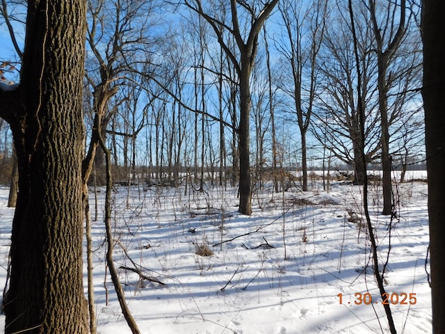 view of yard covered in snow