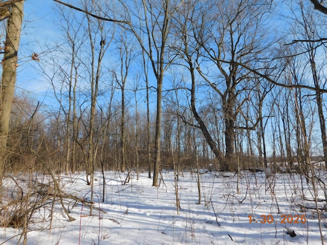 view of snow covered land