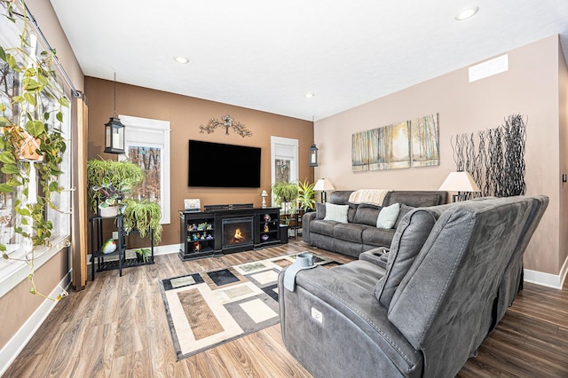 living room featuring wood-type flooring