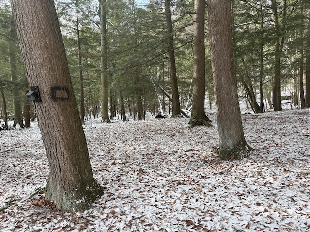 view of snowy landscape