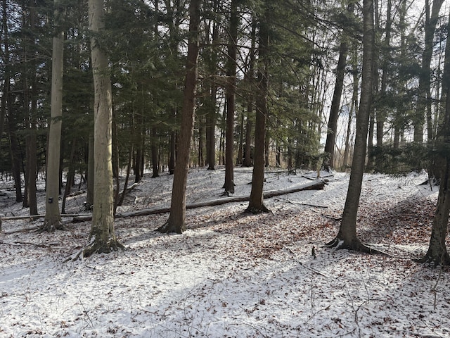 view of snowy view