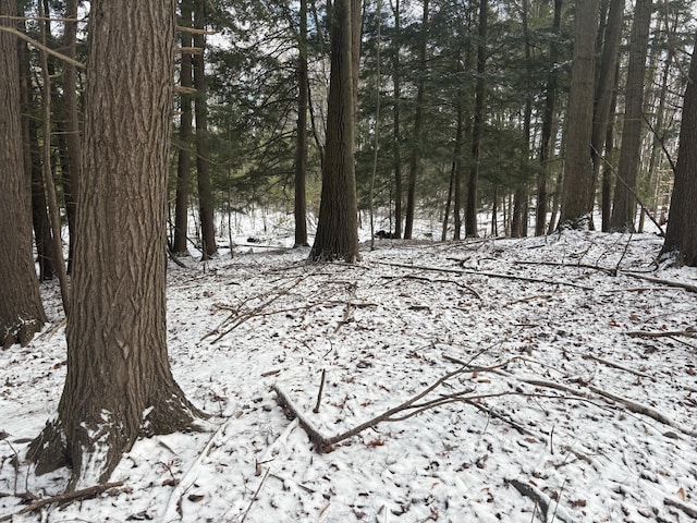 view of snowy view