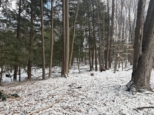 view of snow covered land