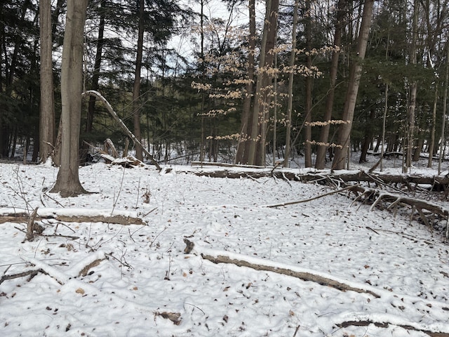 view of snow covered land