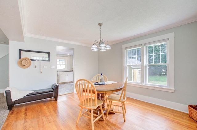 dining area featuring an inviting chandelier, ornamental molding, a wealth of natural light, and light hardwood / wood-style floors