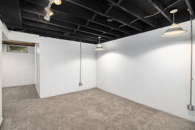 basement featuring carpet