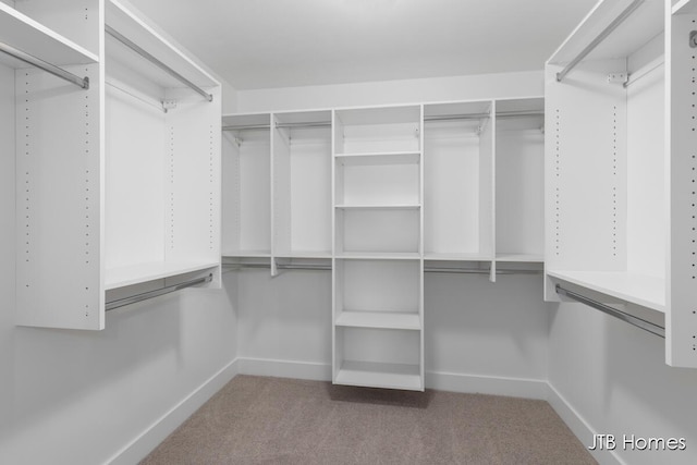 walk in closet featuring carpet floors