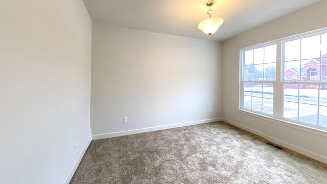 spare room featuring carpet floors