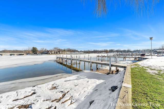 dock area with a water view