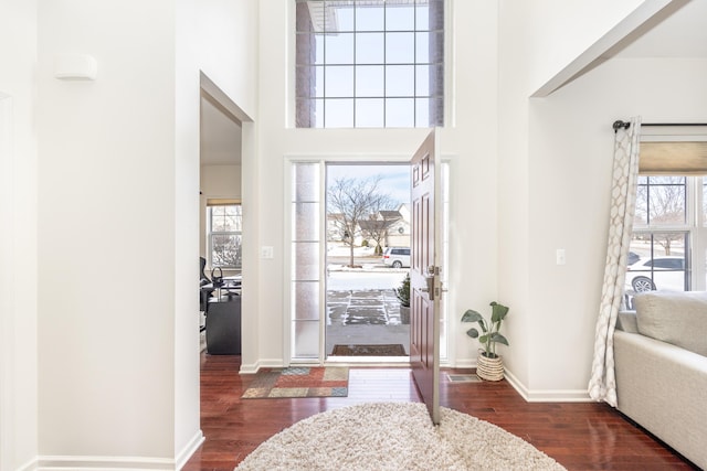 foyer entrance featuring a high ceiling and dark hardwood / wood-style flooring