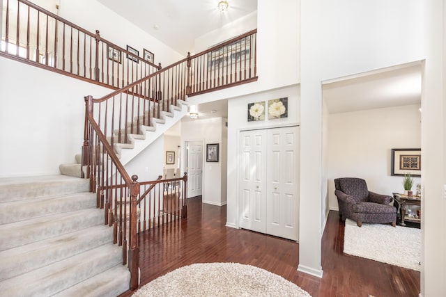 foyer featuring a towering ceiling and dark hardwood / wood-style flooring