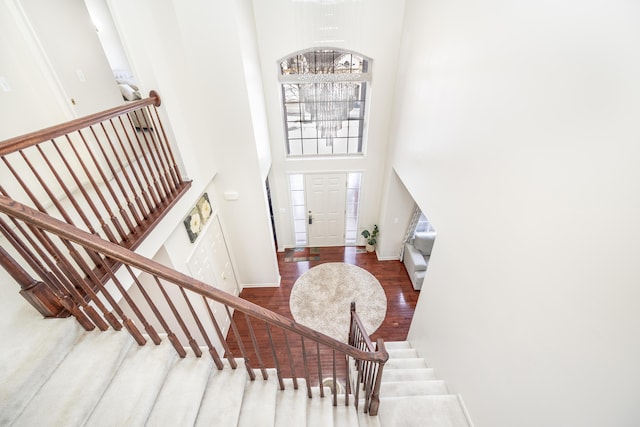 foyer entrance with a high ceiling and wood-type flooring