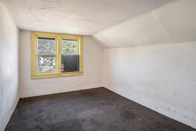 additional living space with lofted ceiling, a textured ceiling, and carpet