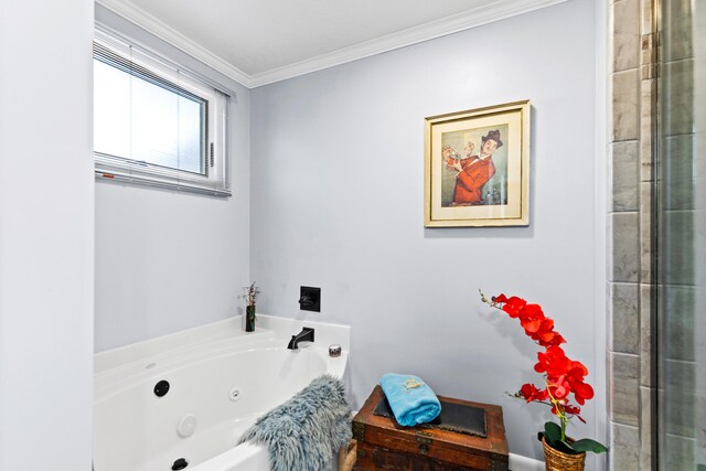3509 N Shore Dr, Sears, MI 49679 - full bathroom with ornamental molding and a tub with jets