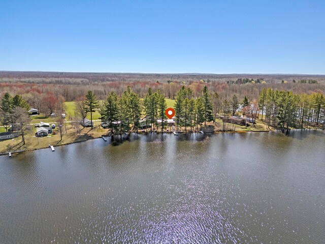 3509 N Shore Dr, Sears, MI 49679 - birds eye view of property with a water view and a wooded view