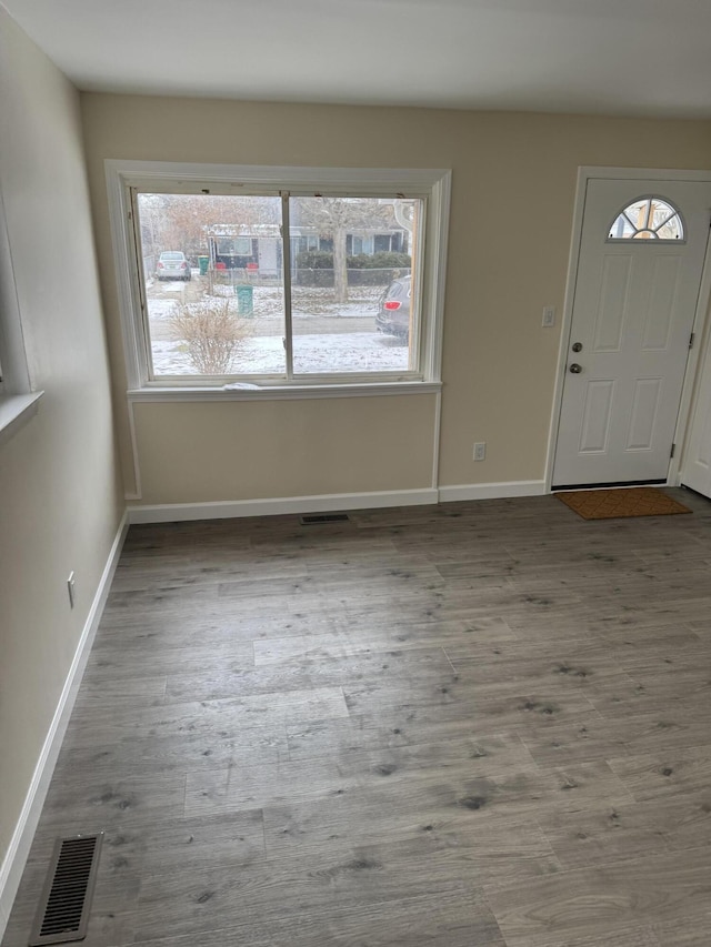 entryway featuring plenty of natural light and light wood-type flooring