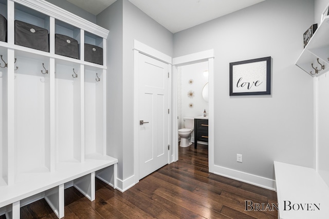 mudroom featuring dark hardwood / wood-style flooring