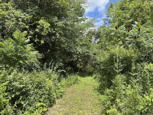 119th Ave, Fennville, MI 49408 - photo 5