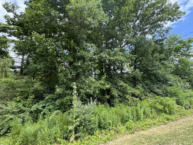 119th Ave, Fennville, MI 49408 - photo 1