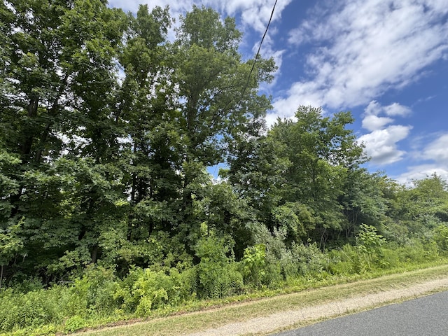 119th Ave, Fennville, MI 49408 - photo 4