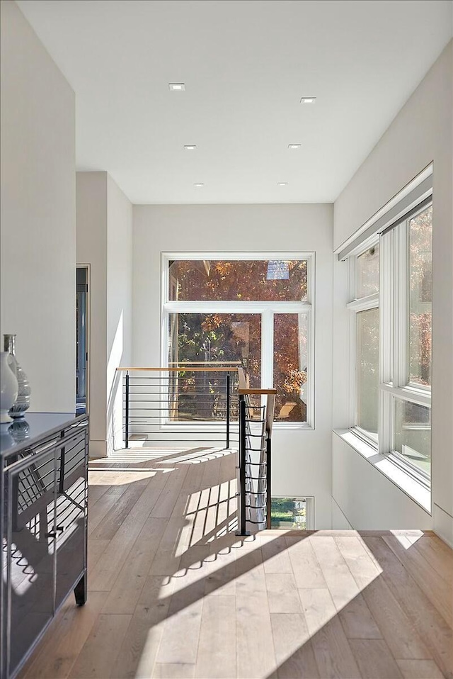 hall with hardwood / wood-style flooring and plenty of natural light