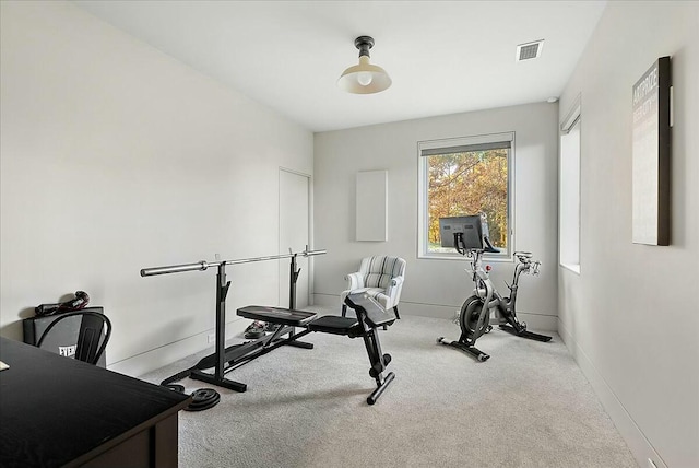 exercise area featuring light colored carpet