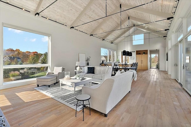 living room with wood ceiling, light hardwood / wood-style flooring, and plenty of natural light