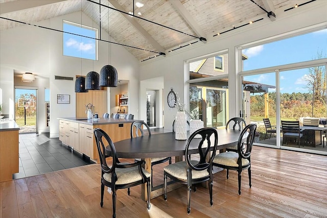 dining space with sink, wood ceiling, plenty of natural light, and dark hardwood / wood-style floors