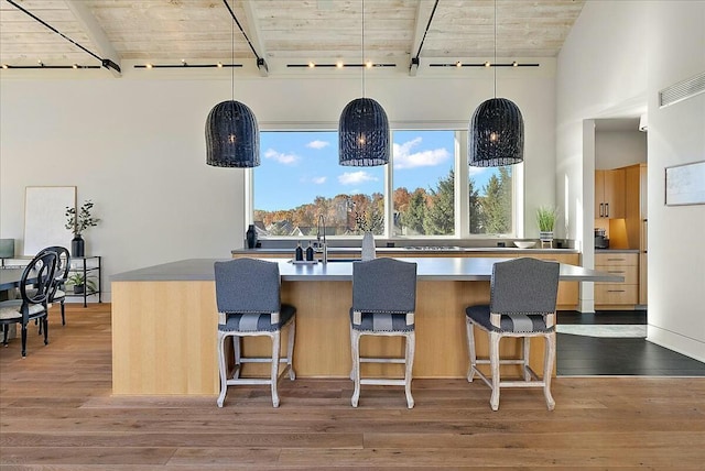 kitchen with hanging light fixtures, hardwood / wood-style flooring, rail lighting, and a high ceiling