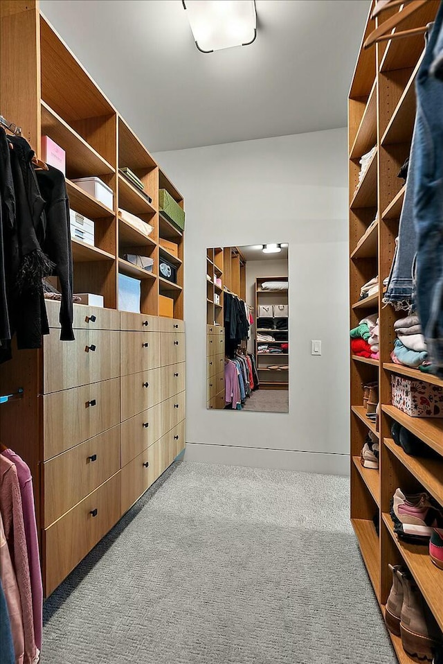 spacious closet with light colored carpet