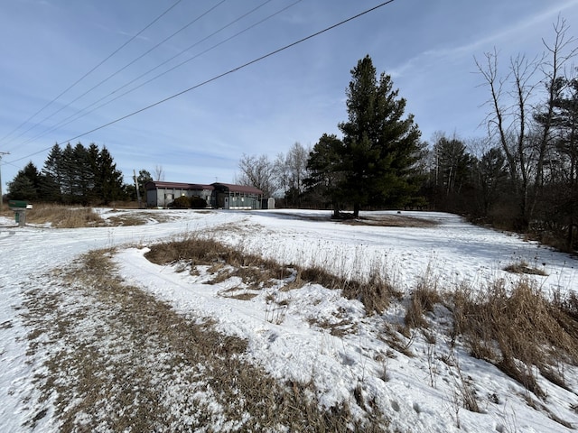 view of yard layered in snow