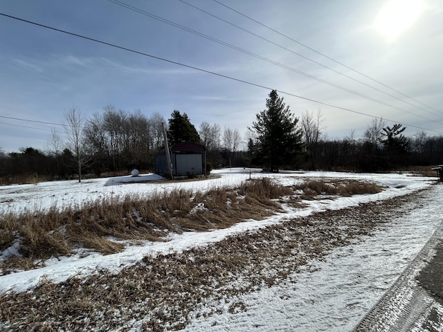 view of yard covered in snow